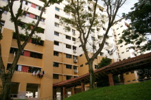 Blk 114 Bukit Batok West Avenue 6 (Bukit Batok), HDB 4 Rooms #336852